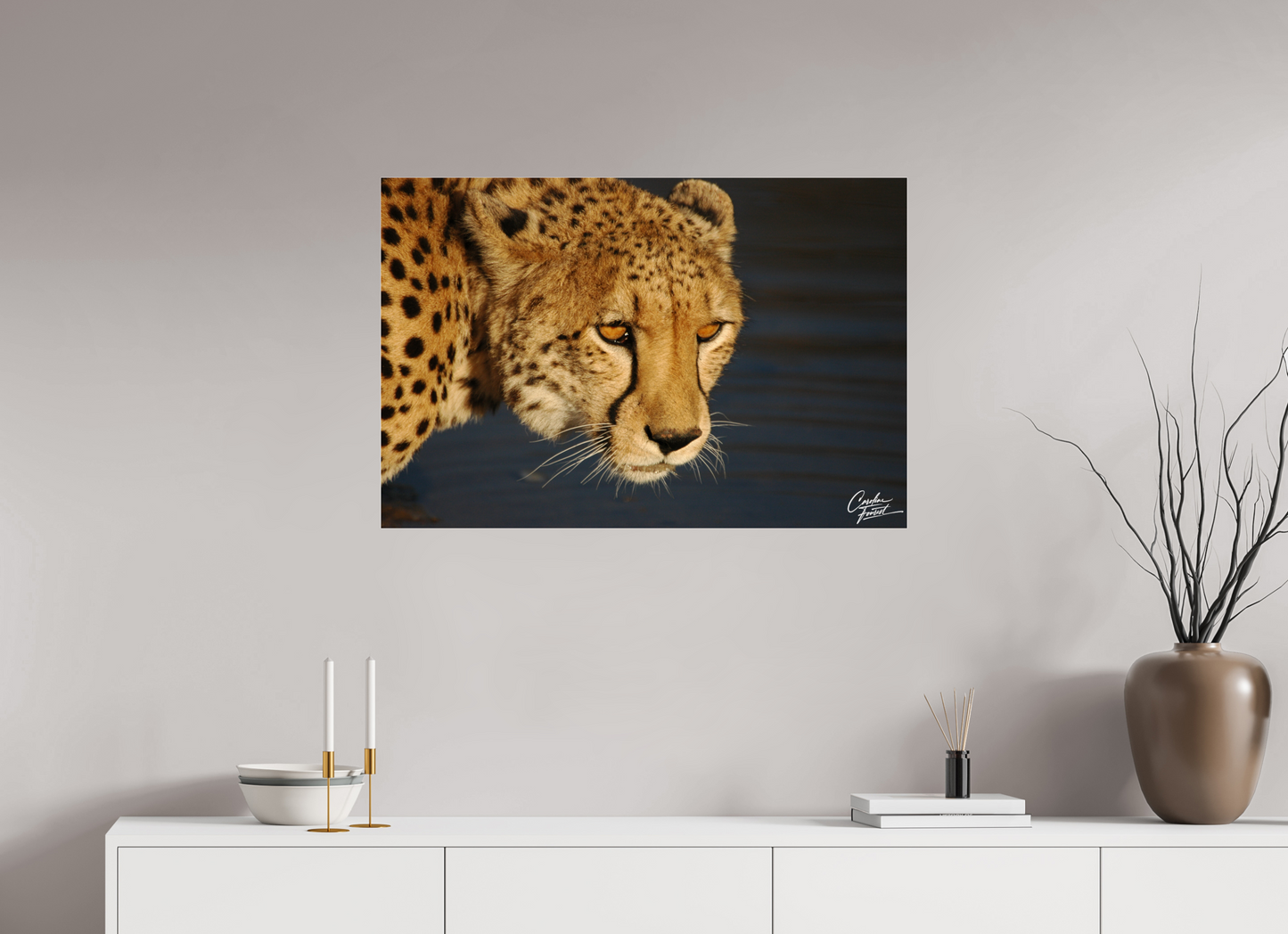 Golden Gaze of the Wild (Caroline Fourest)