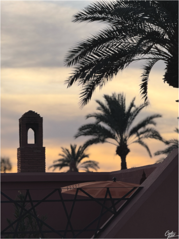 Main image Where Shadows Dance (Caroline Fourest)