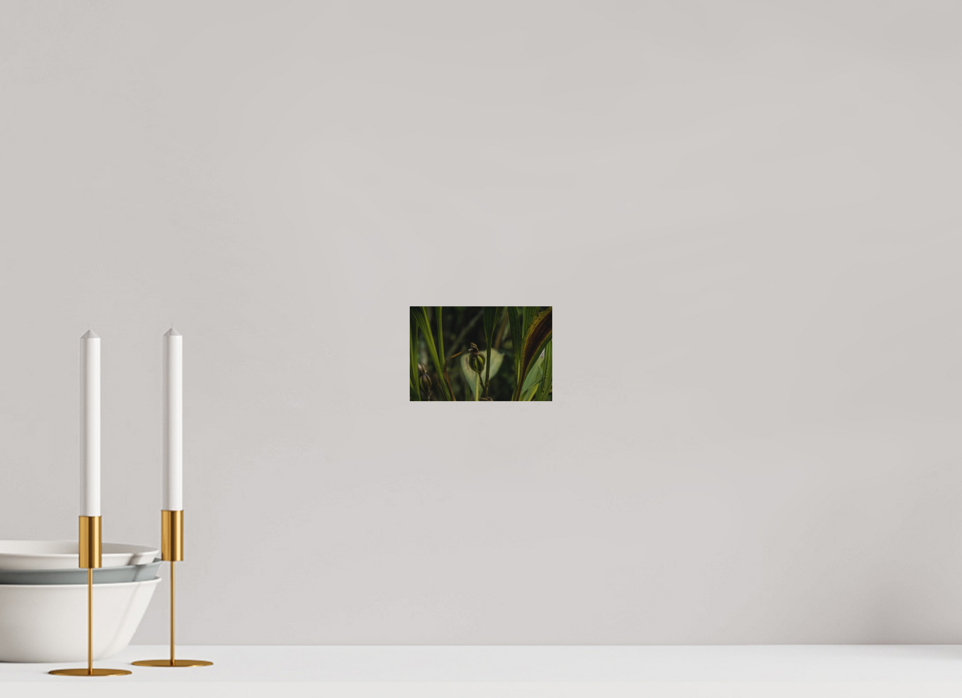 15 x 10 cm, Tirage photo sous Plexi mat Fiammetta Perou