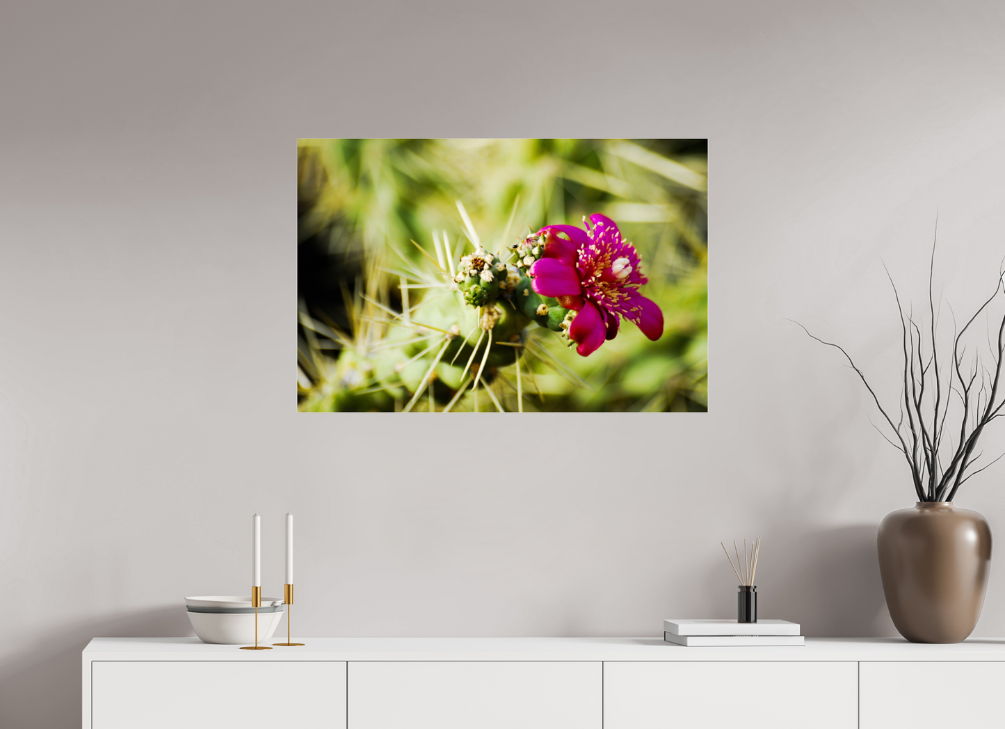 Blessed Cactus (Fiammetta Venner)