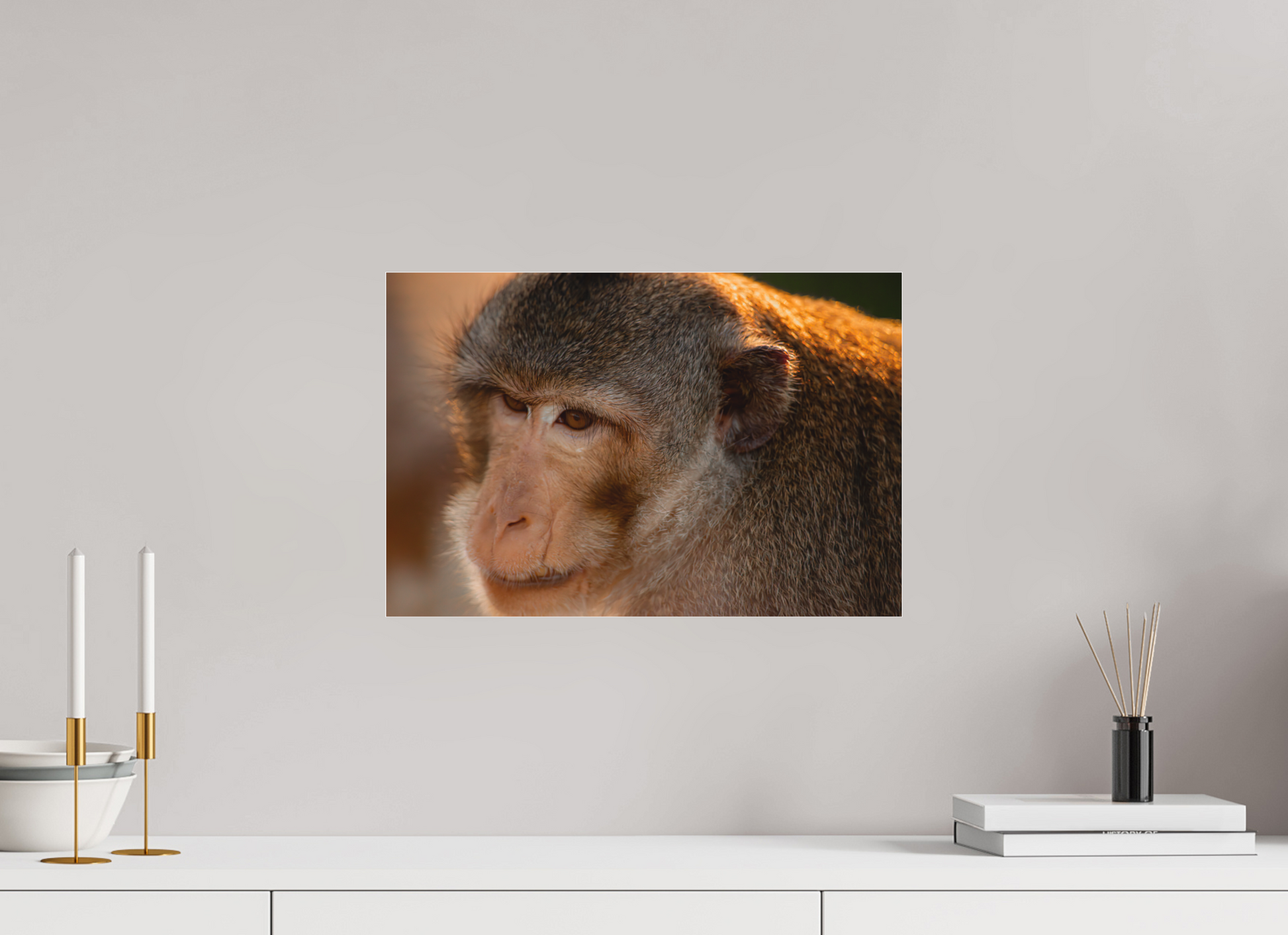 45 x 30 cm, Tirage photo sous Plexi mat l