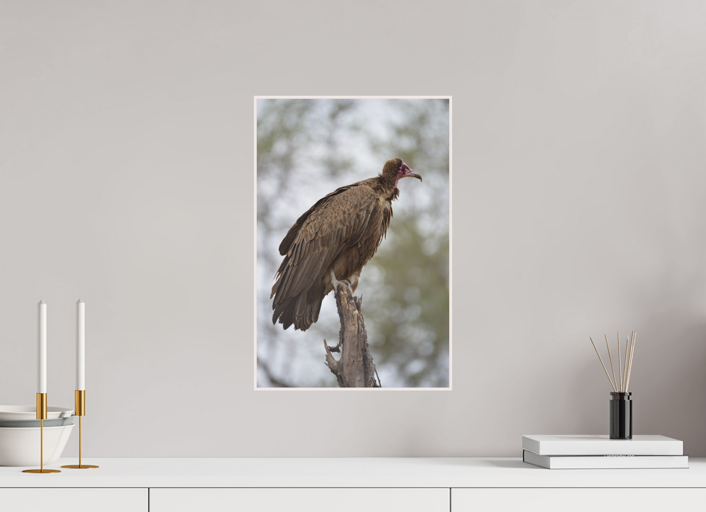 Sentinel of the Savanna (Fiammetta Venner)