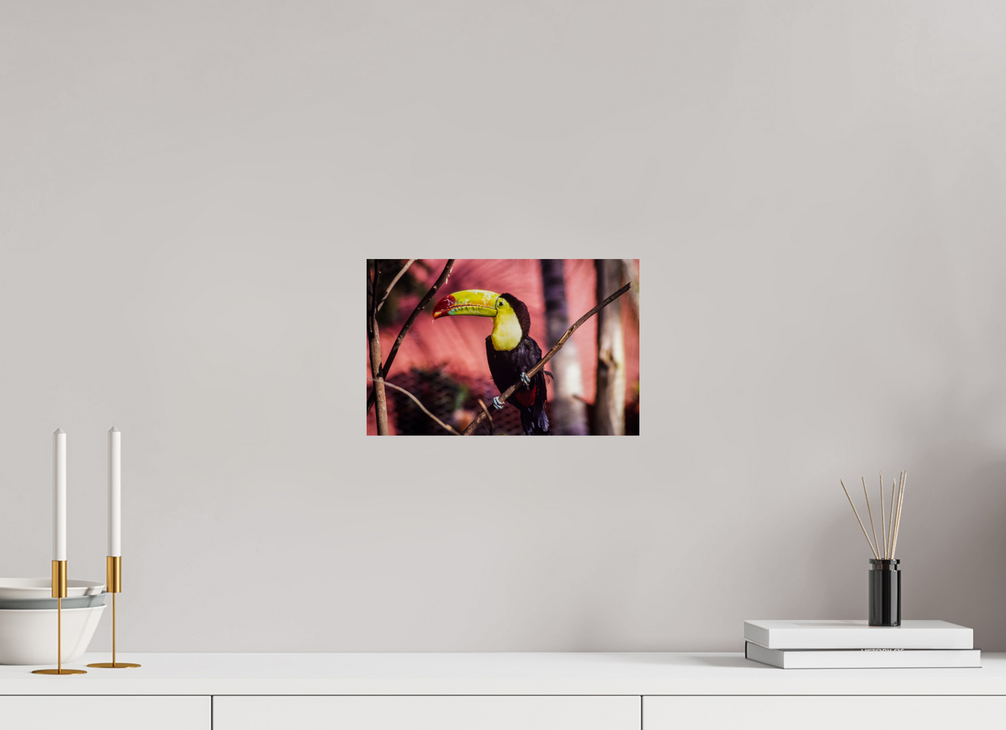 The Toucan Vibrant Symphony (Aline de Nanxe)