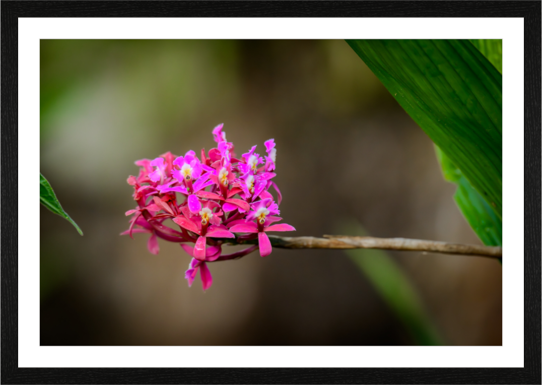 Main image Fiammetta Perou