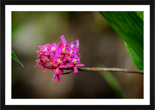 Main image Fiammetta Perou