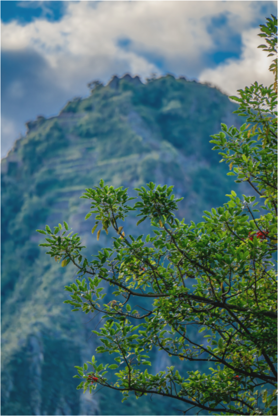 Main image Peru (2024) Photography : © Fiammetta Venner / REIA (Fiammetta Venner)