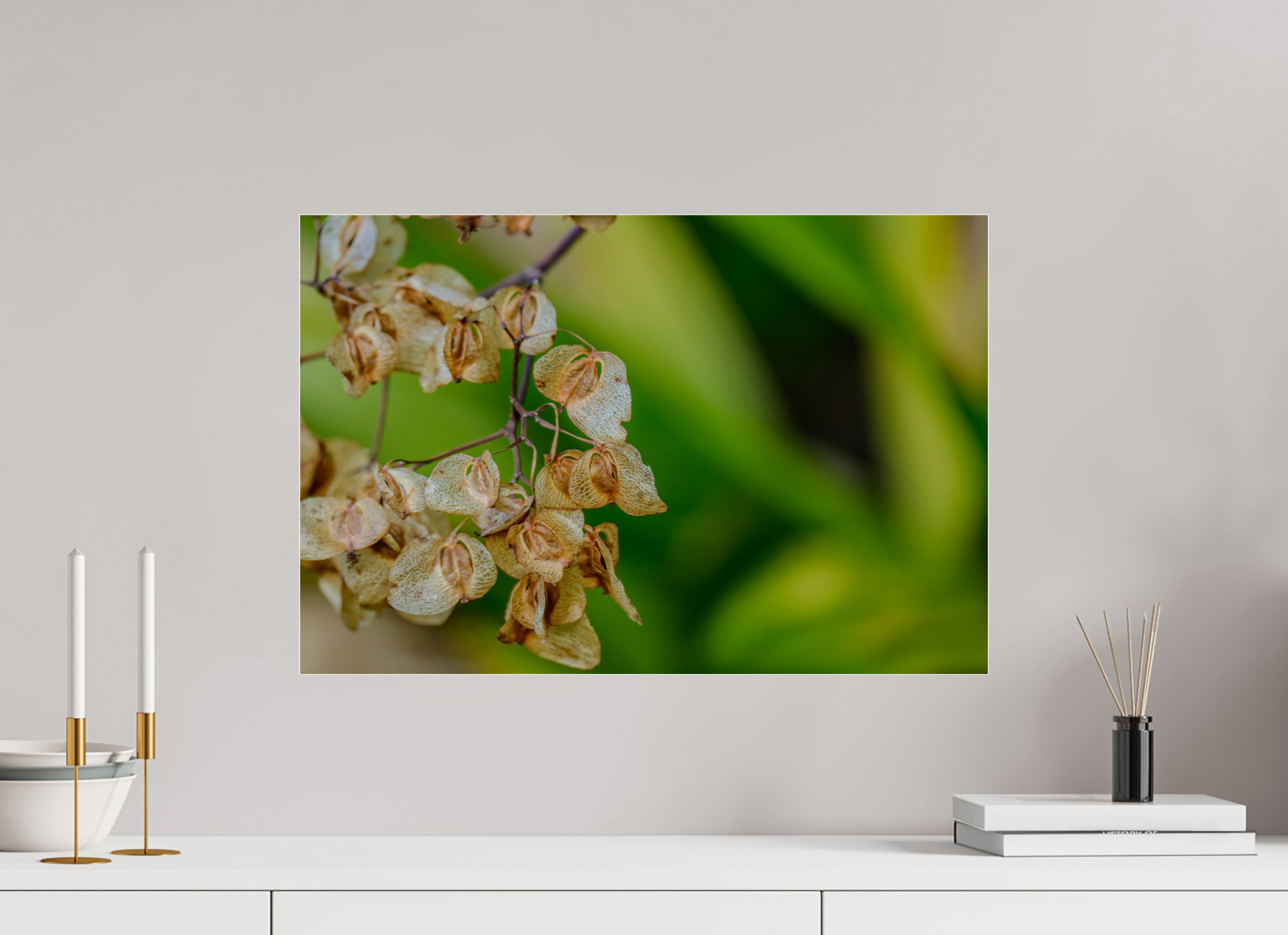 60 x 40 cm, Photo Print Under Acrylic Glass Fiammetta Perou