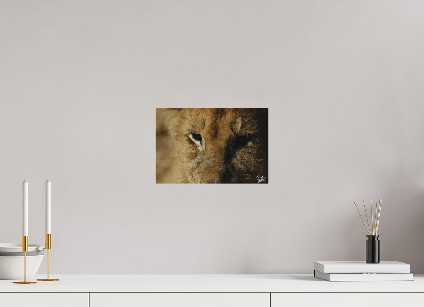 Majestic Cub (Caroline Fourest)