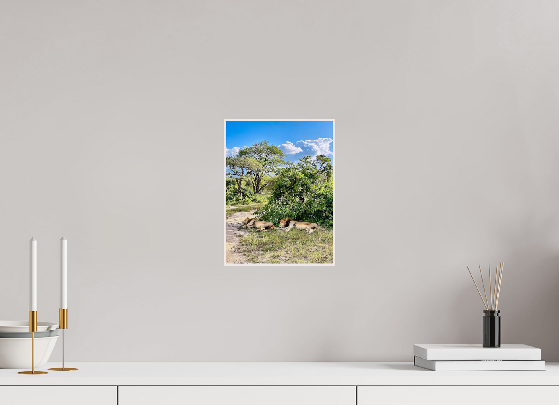 21 x 28 cm, Tirage photo métallisée ultraHD sous Plexi cadre Artbox Kings in Repose (Caroline Fourest)