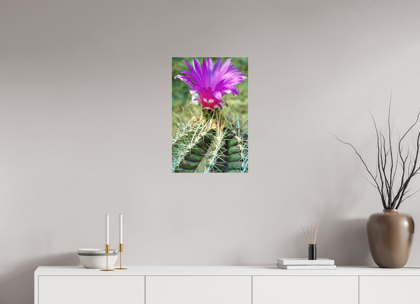 Flamingo Cactus (Aline de Nanxe)