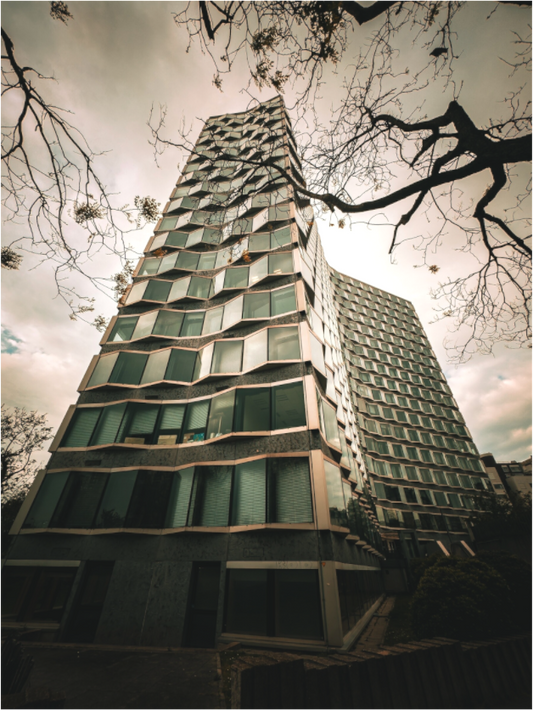 Modern Architecture (Fiammetta Venner)