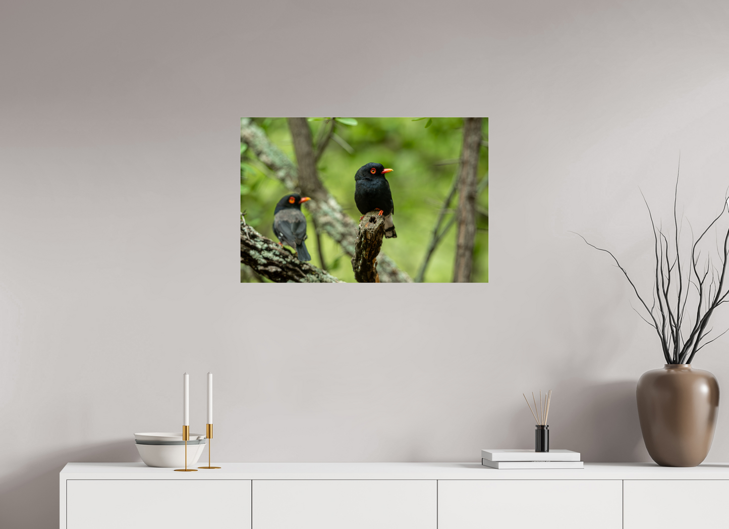 Feathered Companions (Fiammetta Venner)
