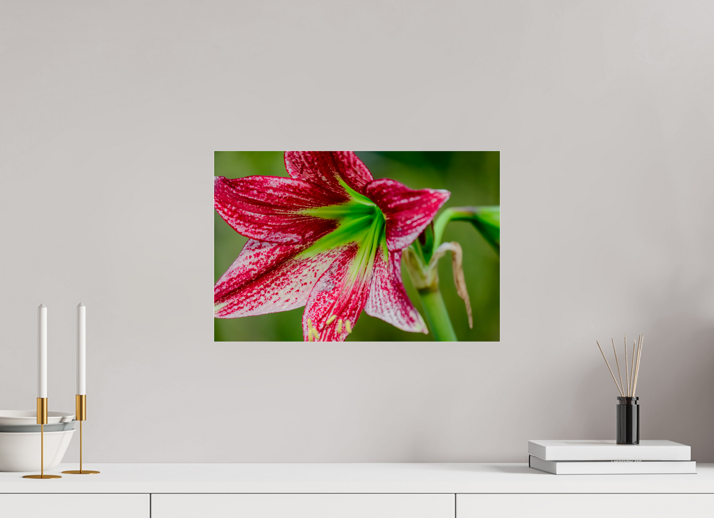 45 x 30 cm, Photo Print Under Acrylic Glass Fiammetta Perou