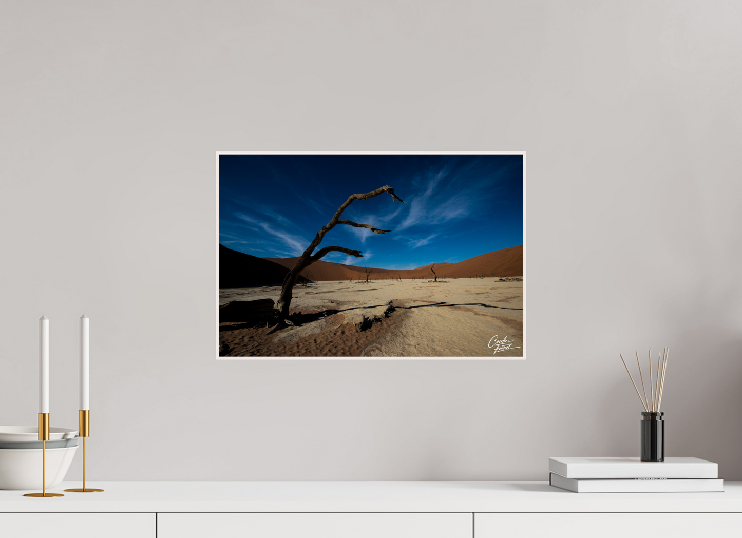 Desert Sentinel (Caroline Fourest)