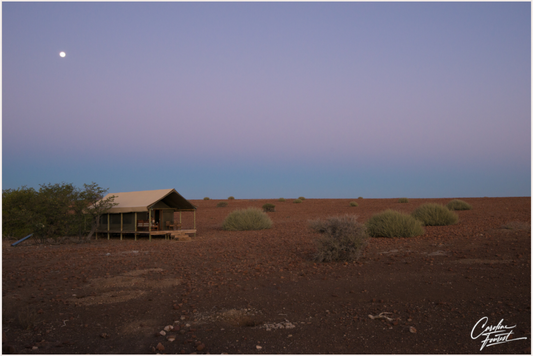 Desert Haven (Caroline Fourest)
