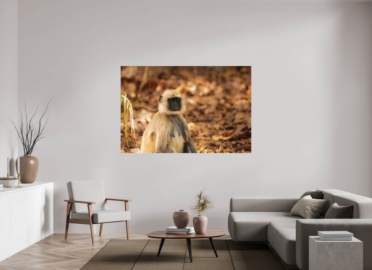Langur Contemplative Gaze (Fiammetta Venner)