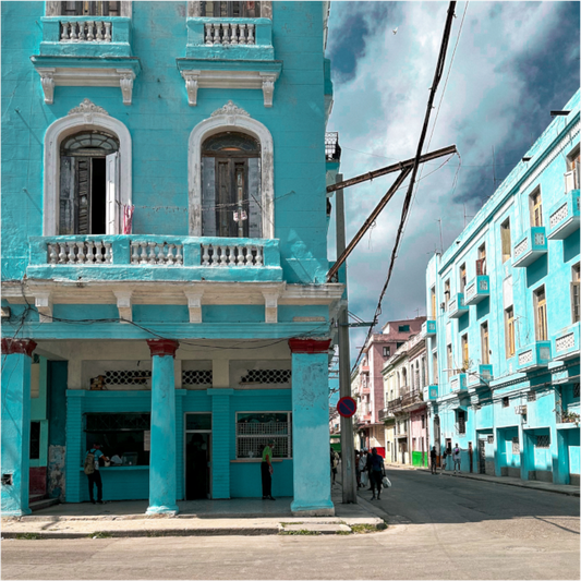 Turquoise Dreams (Fiammetta Venner)