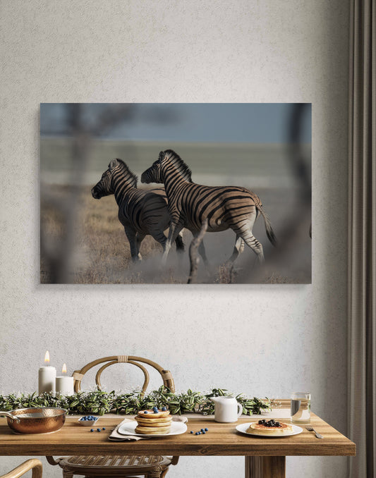 Dance of the Stripes (Caroline Fourest)
