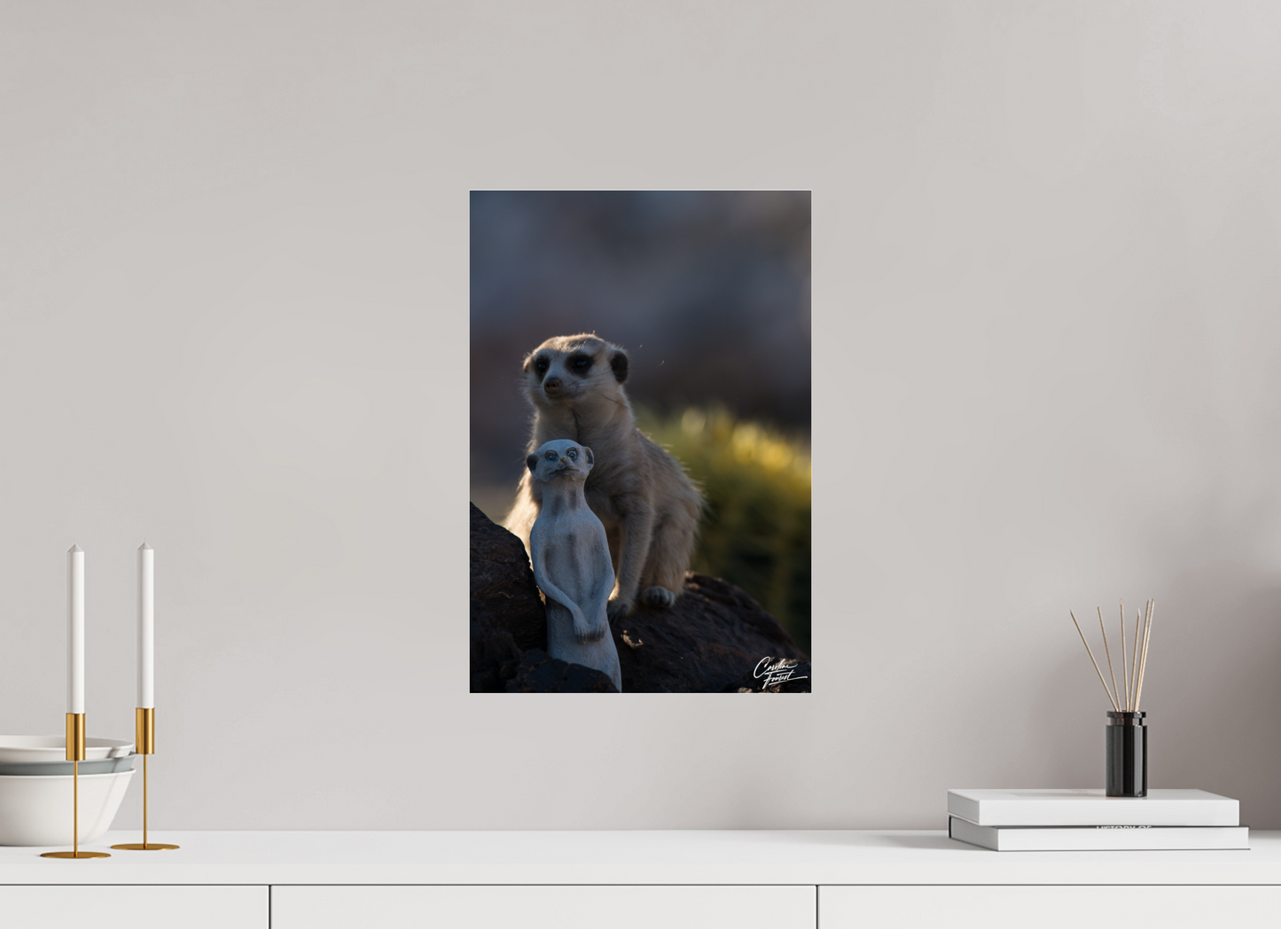Meerkat Puppet (Caroline Fourest)