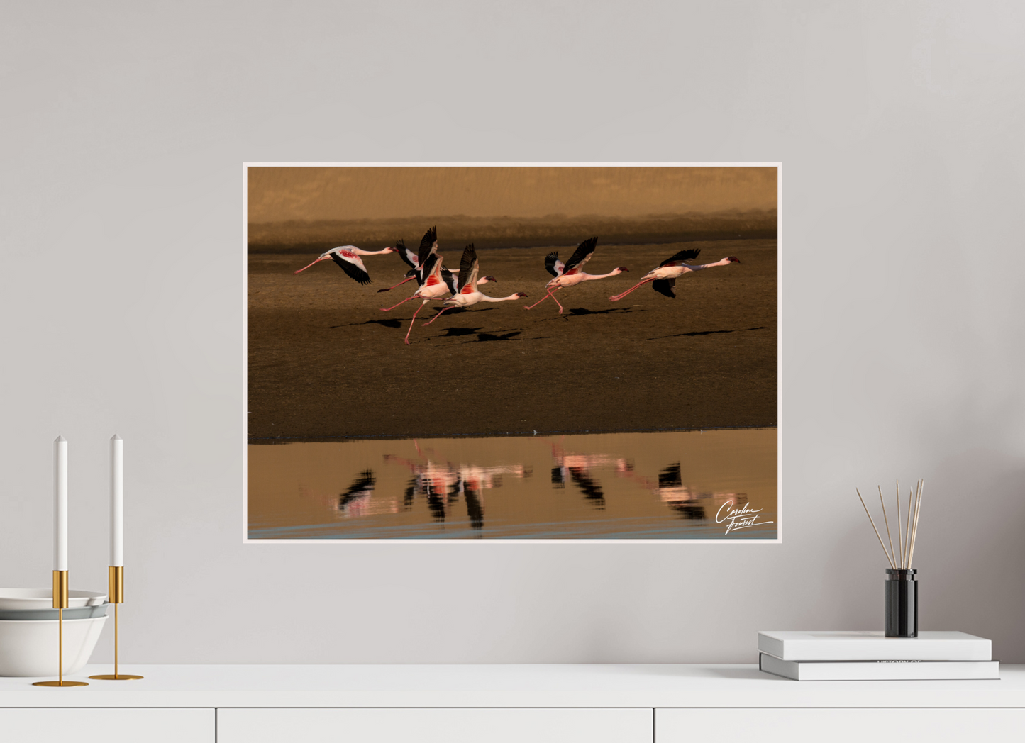 Reflections of Flight (Caroline Fourest)