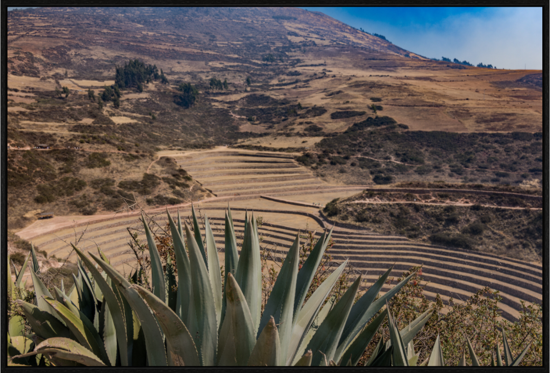 Main image FIAMMETTA VENNER Perou