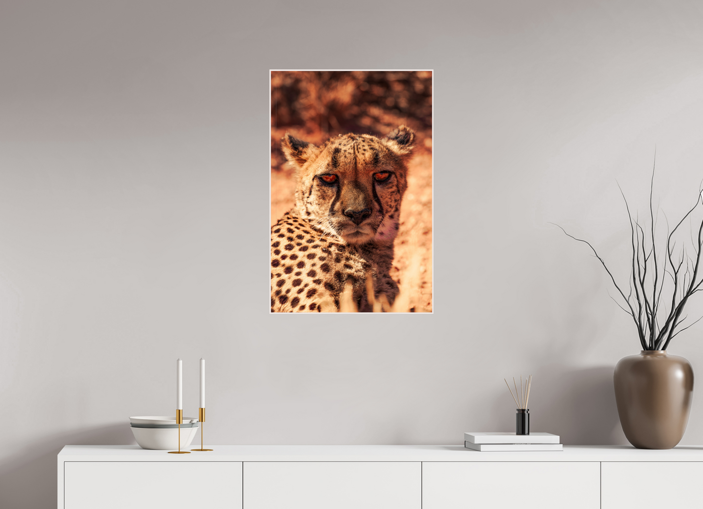 Cheetah's Gaze (Fiammetta Venner)