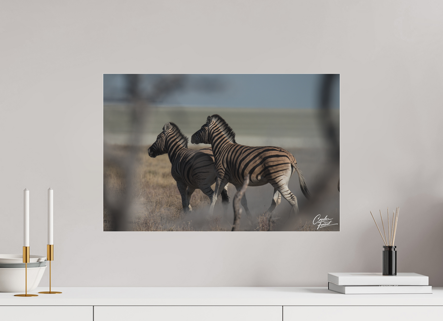 Dance of the Stripes (Caroline Fourest)