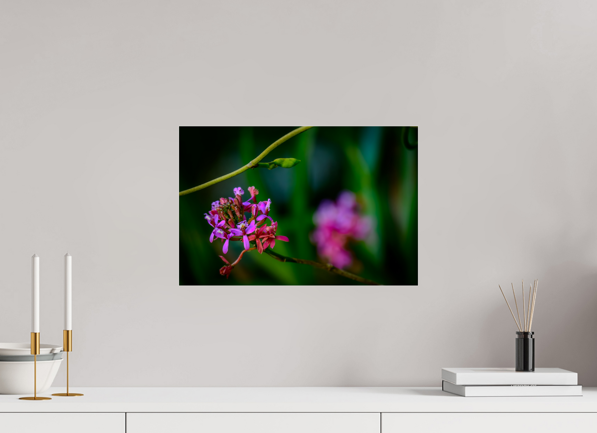 45 x 30 cm, Photo Print Under Acrylic Glass Fiammetta Perou