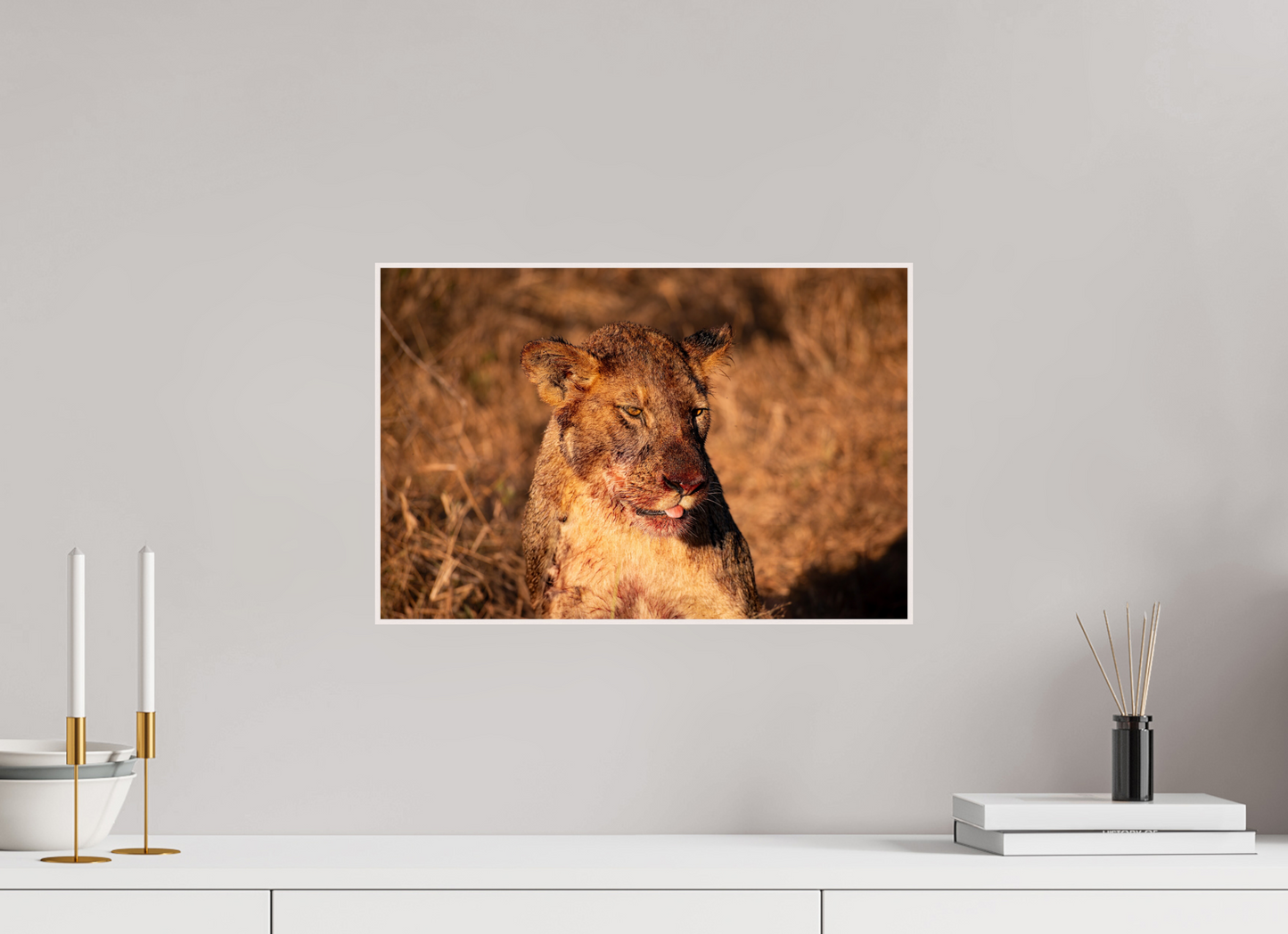 Lioness Resilience (Fiammetta Venner)