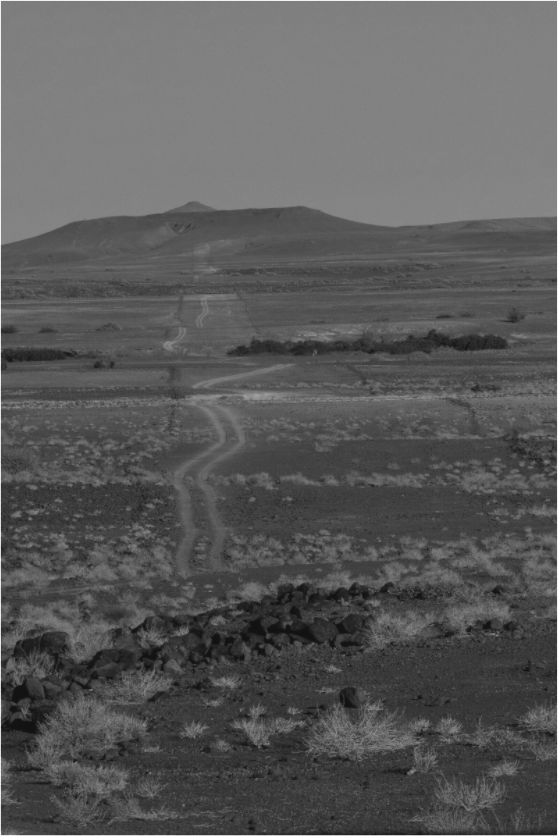 Namibiese Horison (Fiammetta Venner)