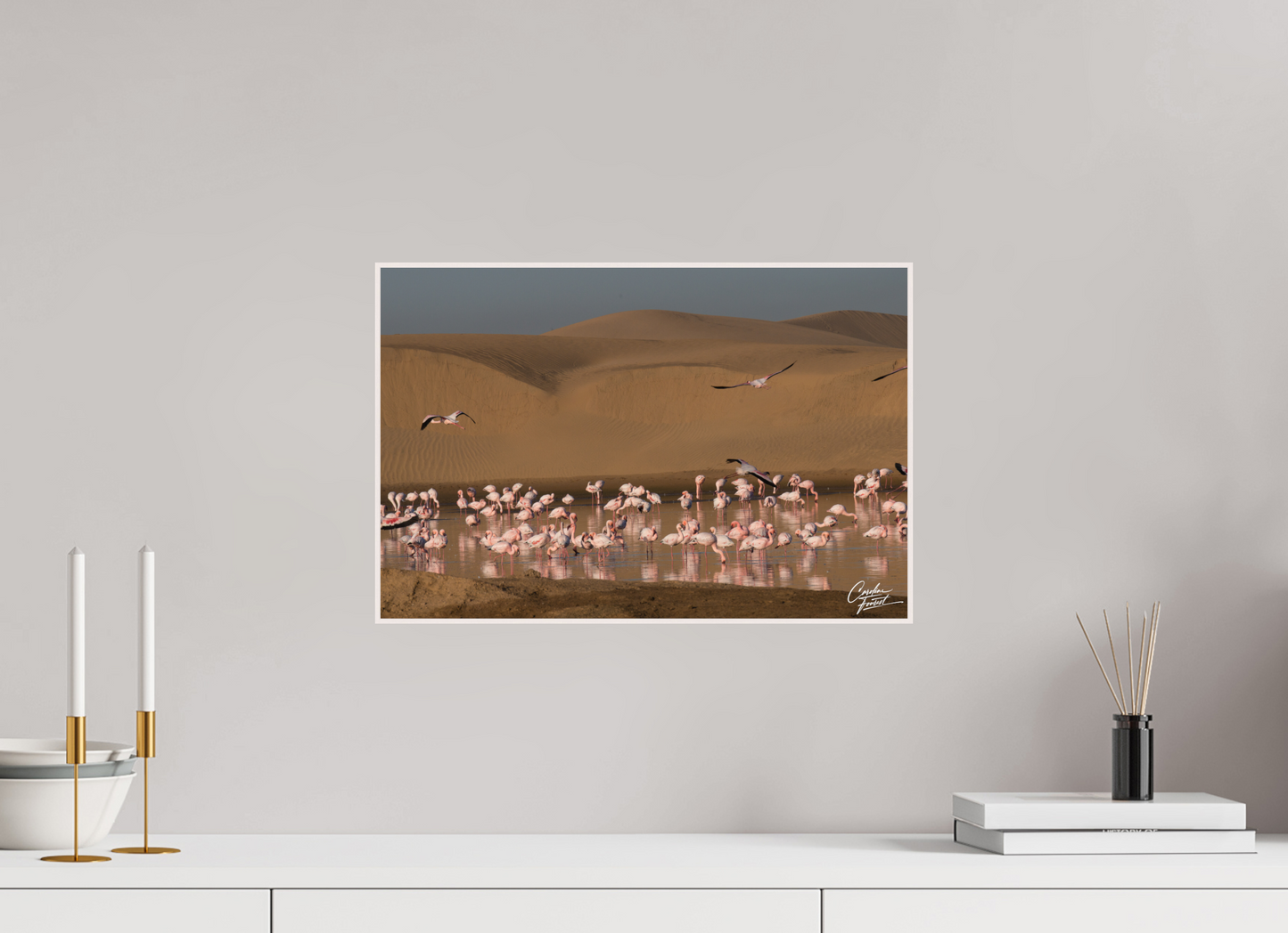 Whispers of the Wetlands (Caroline Fourest)
