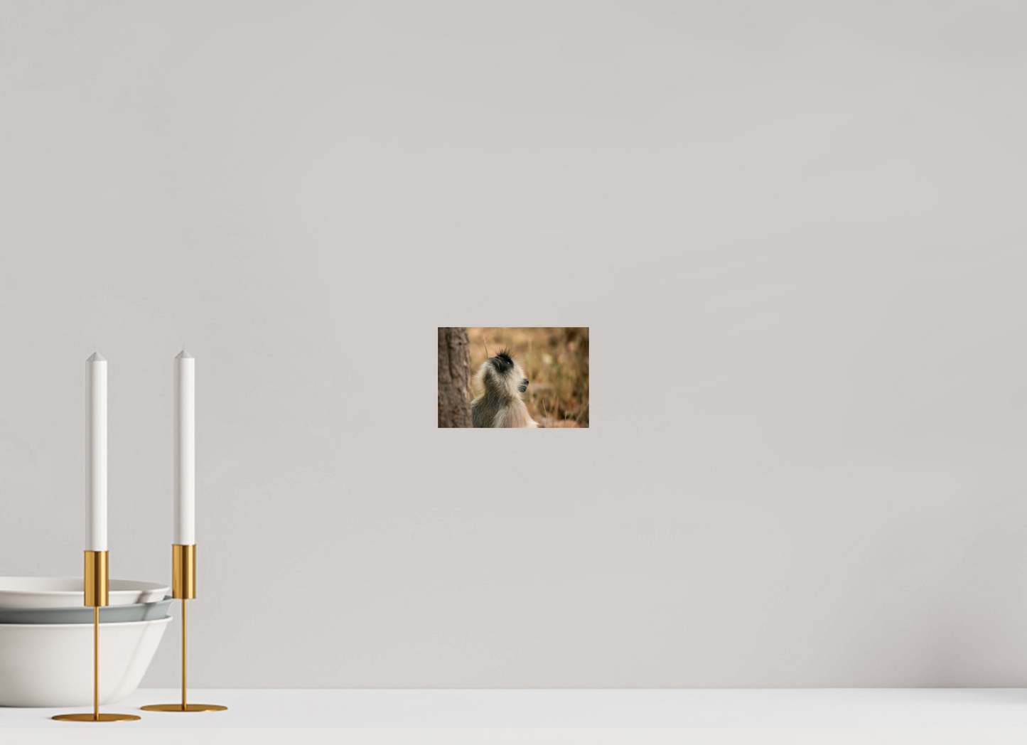 Gaze of Curiosity (Fiammetta Venner)