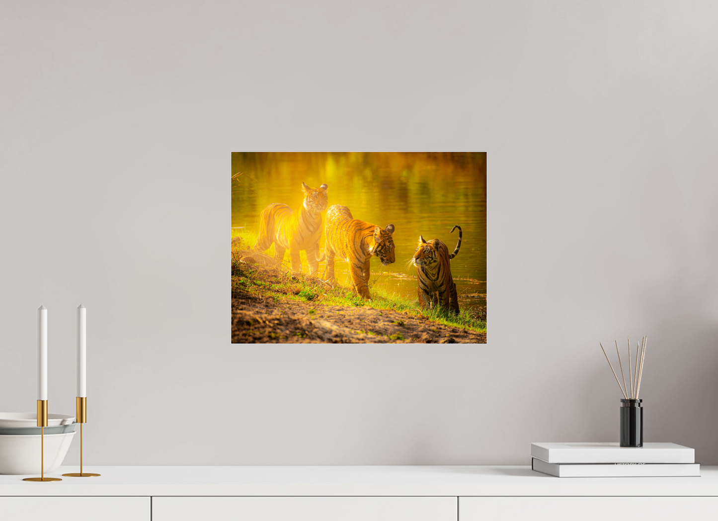Young Explorers (Fiammetta Venner)