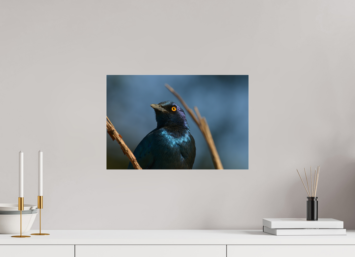 45 x 30 cm, Photo Print Under Acrylic Glass (Caroline Fourest)