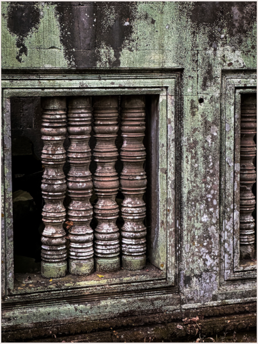 Whispering Windows (Fiammetta Venner)