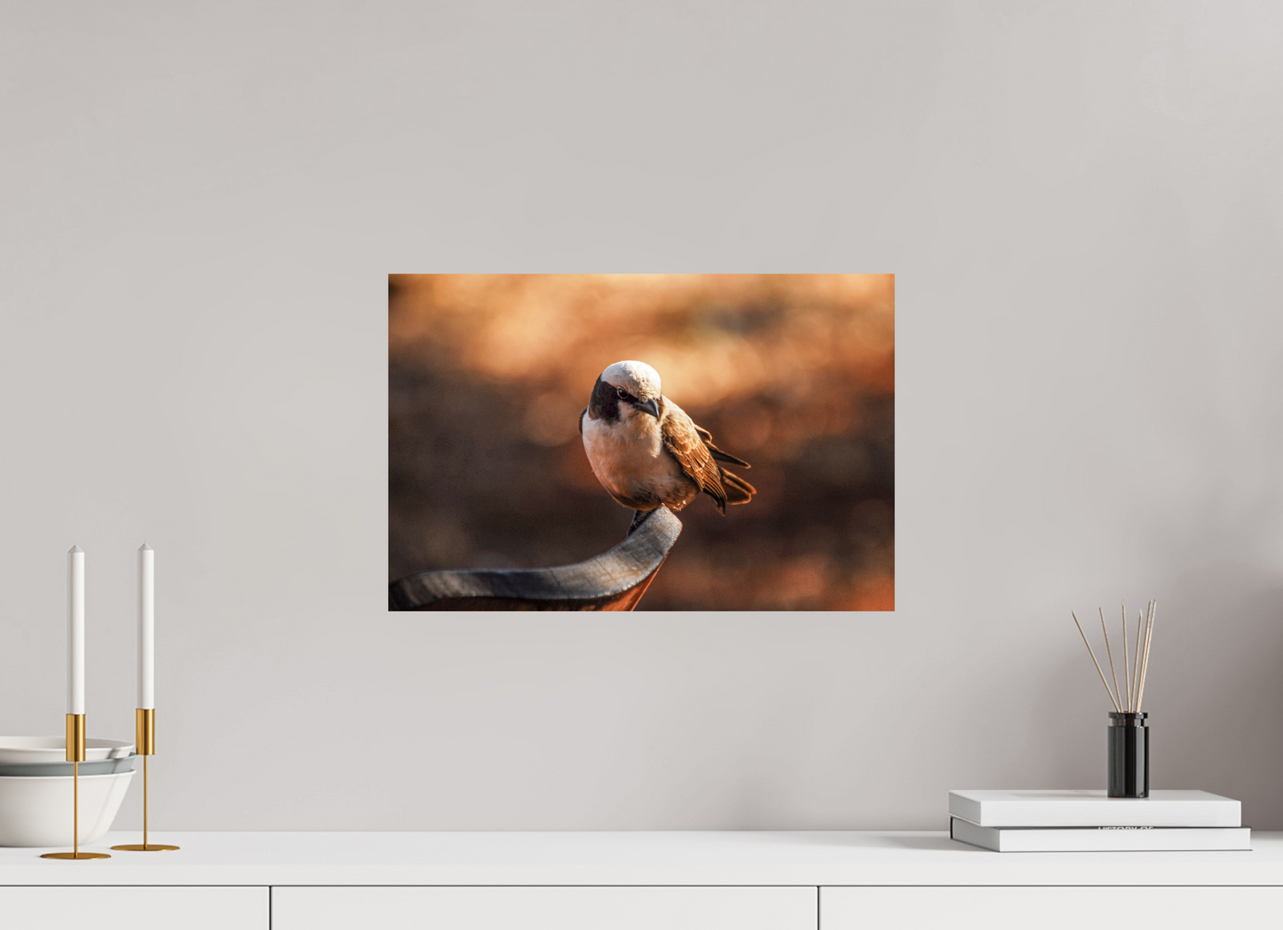 Perched in Serenity (Caroline Fourest)