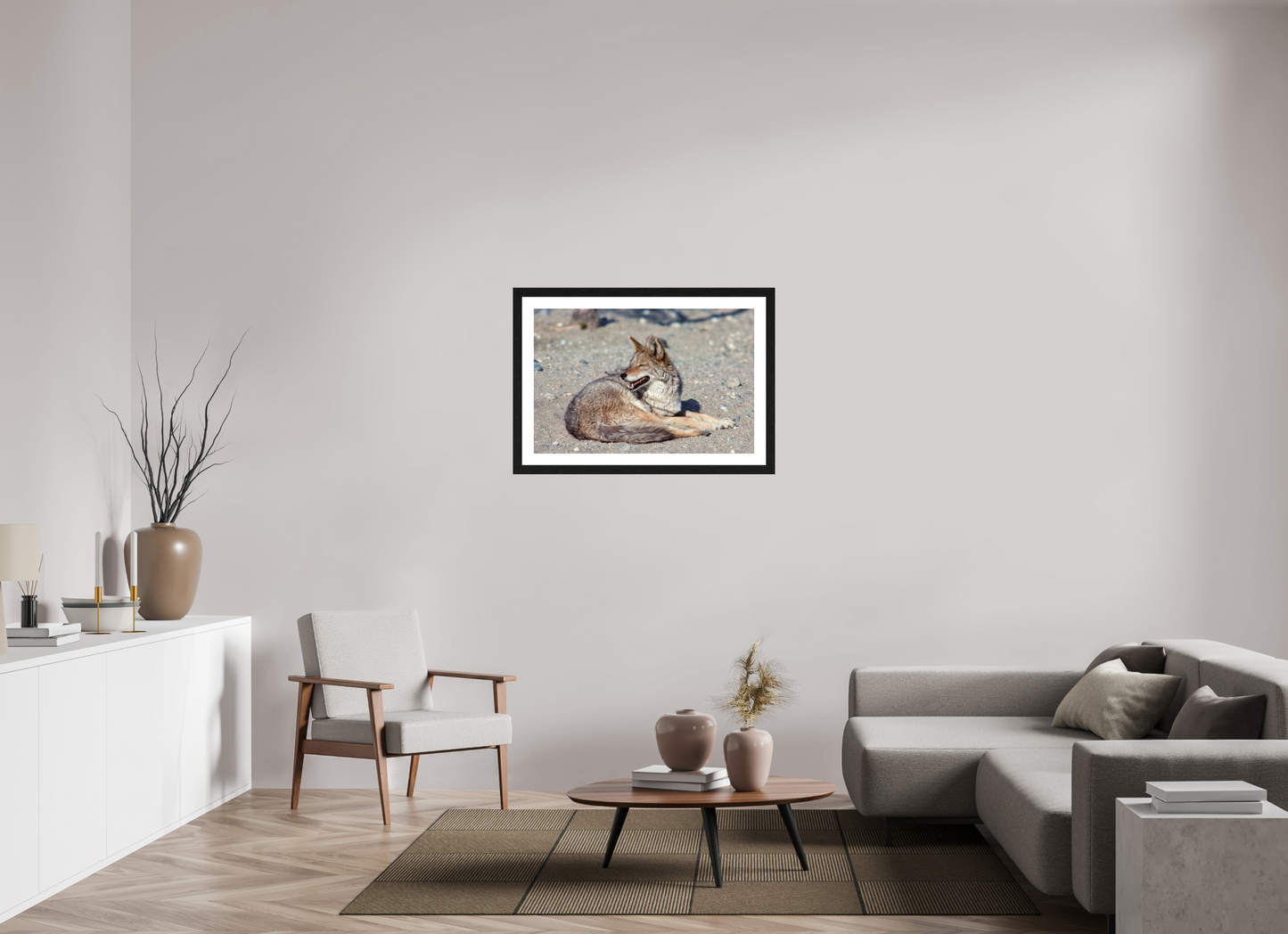 Resting Coyote (Aline de Nanxe)