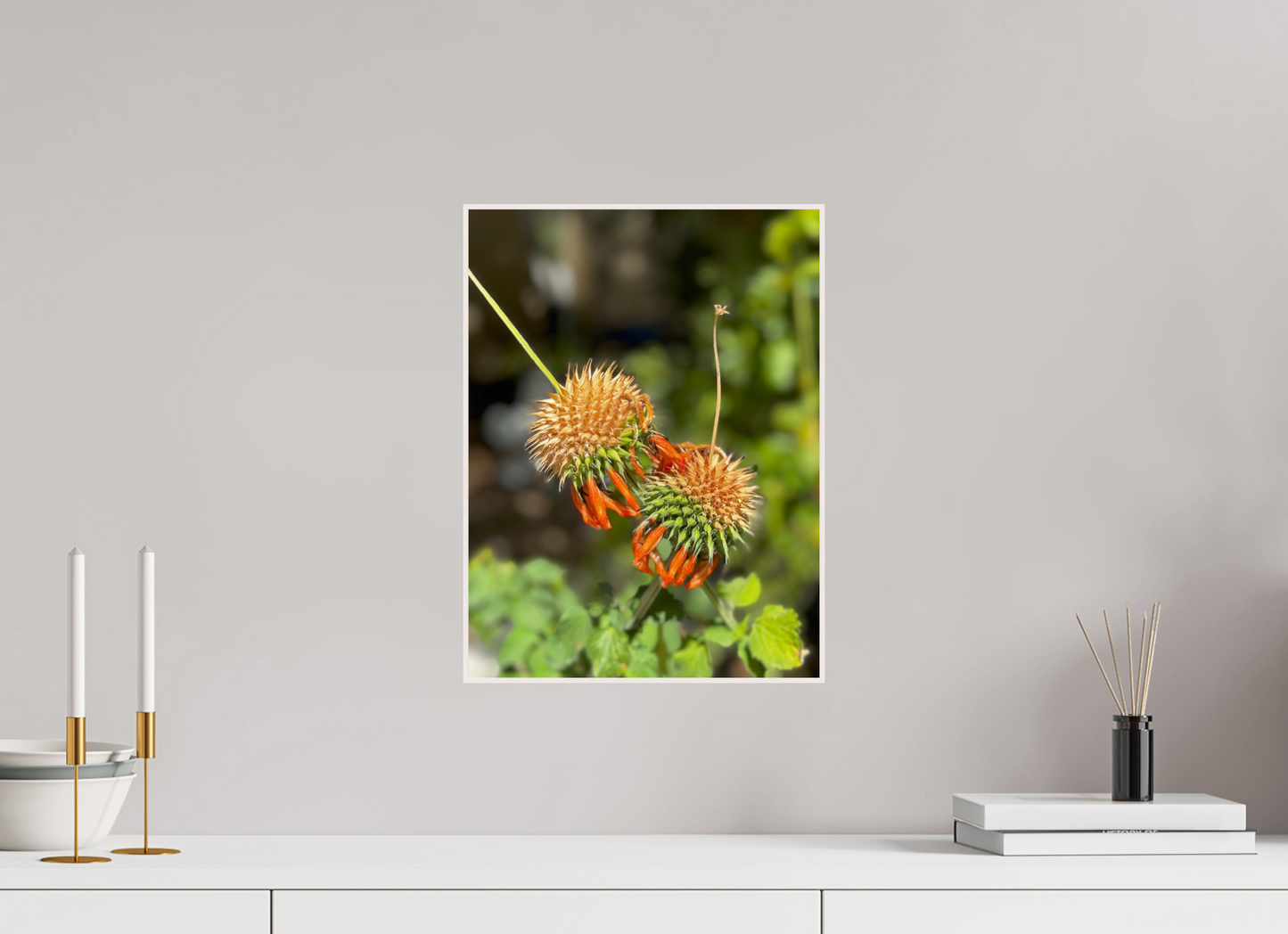 Vibrant Blooms (Fiammetta Venner)