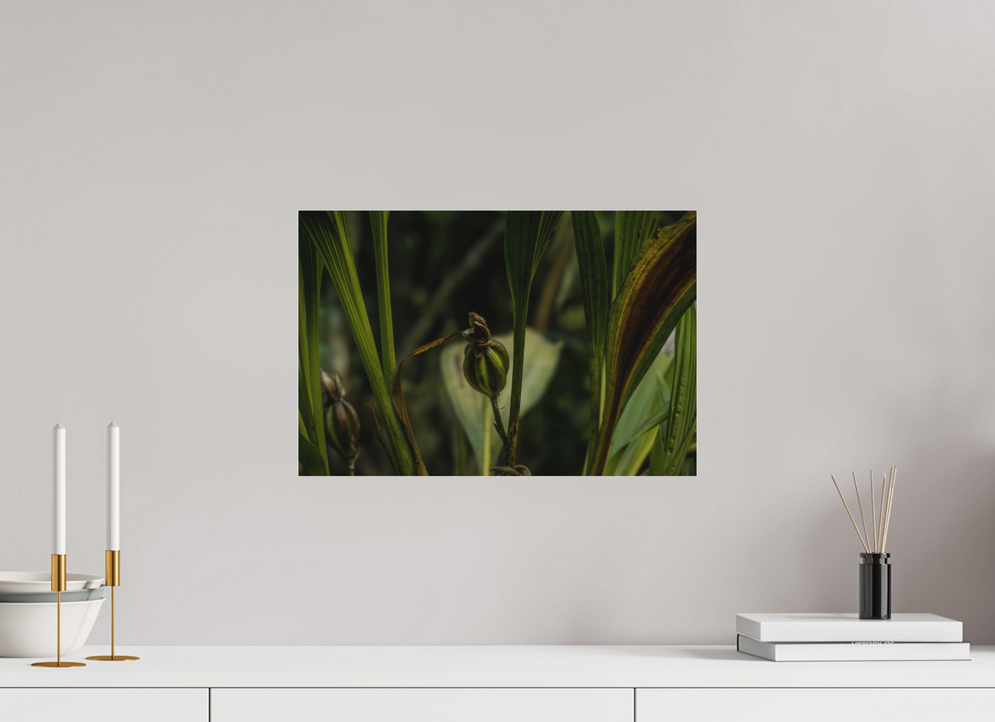 45 x 30 cm, Tirage photo sous Plexi mat Fiammetta Perou