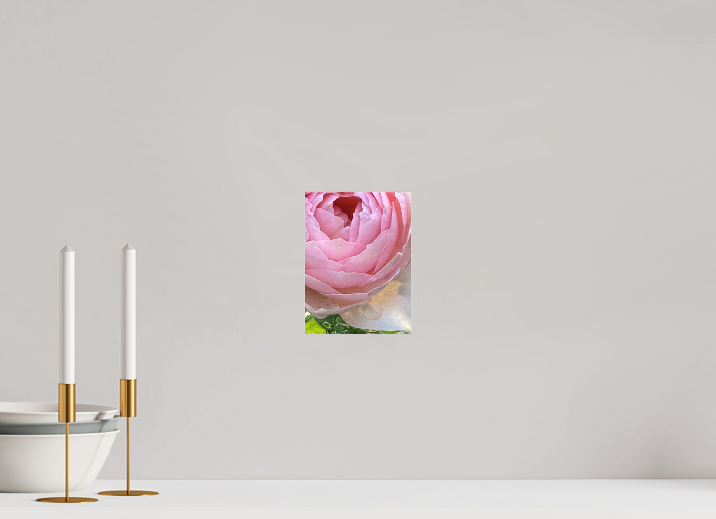 15 x 20 cm, Tirage photo sous Plexi mat La rose qui pleure (Marie Sicard)