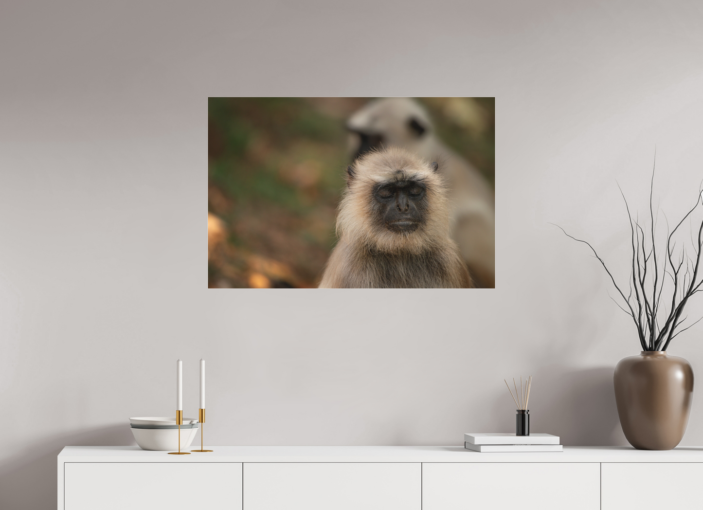 Dharma Langur (Fiammetta Venner)