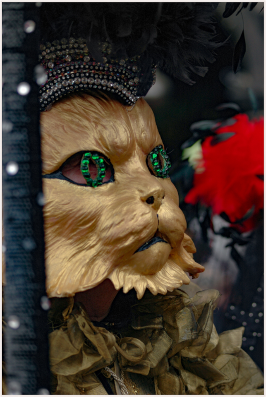Feline Fantasy (Fiammetta Venner)