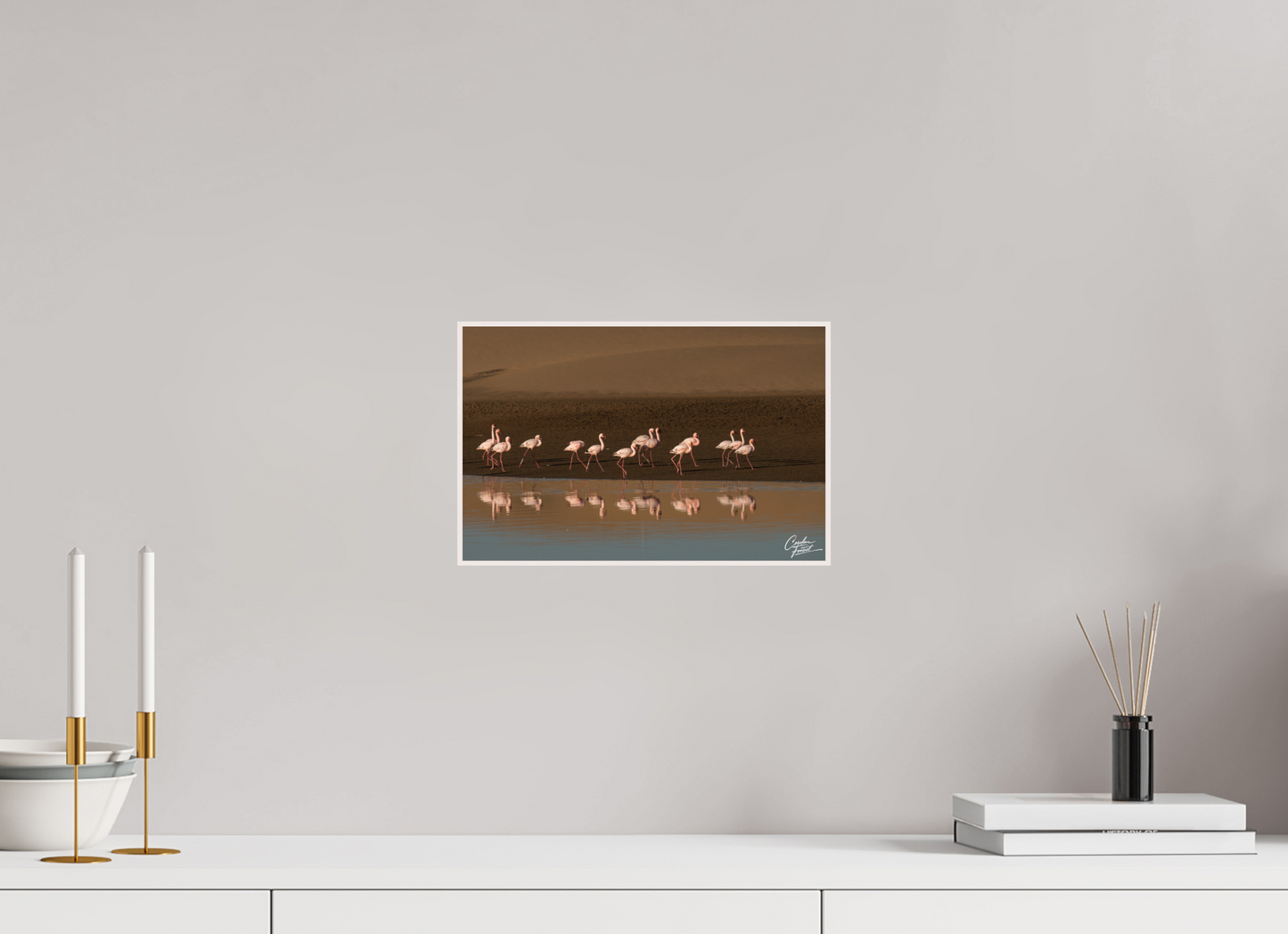 Ballet of the Flamingos (Caroline Fourest)