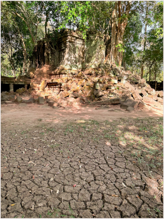 Temple roots (Fiammetta Venner)