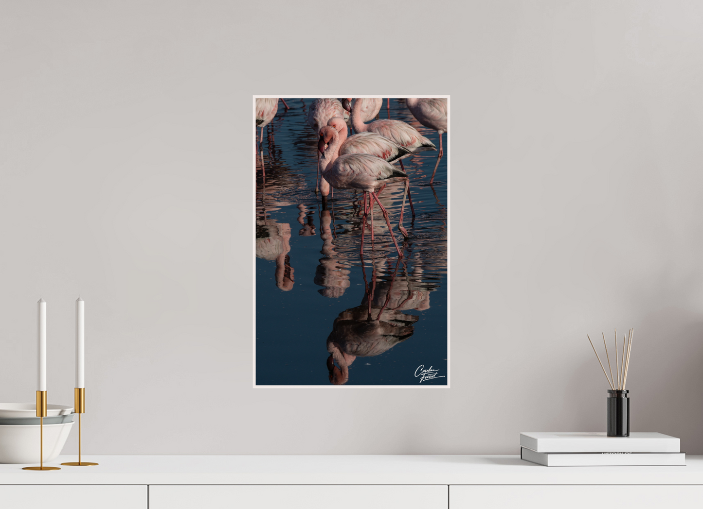Reflections of Elegance (Caroline Fourest)