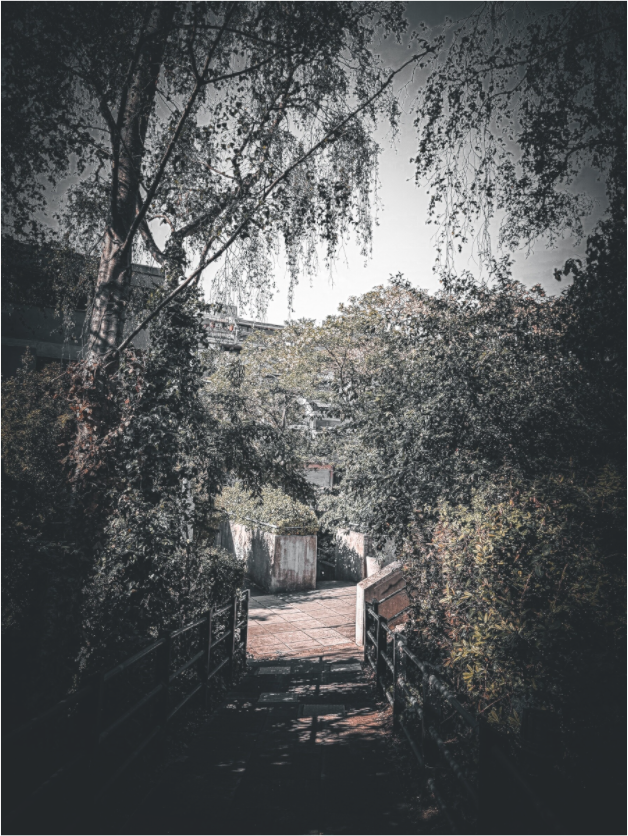 Canopy of Concrete (Fiammetta Venner)