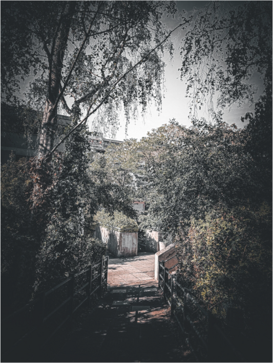 Canopy of Concrete (Fiammetta Venner)