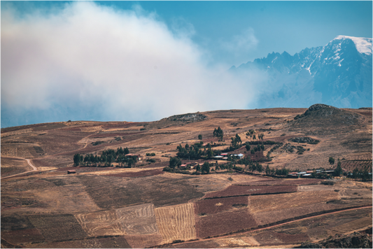 Main image FIAMMETTA VENNER Perou