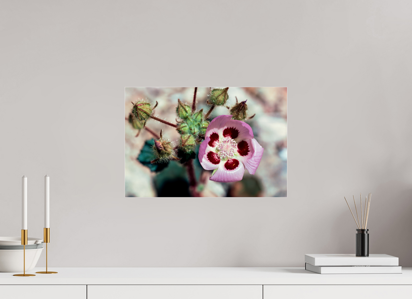 Desert Blossom (Aline de Nanxe)