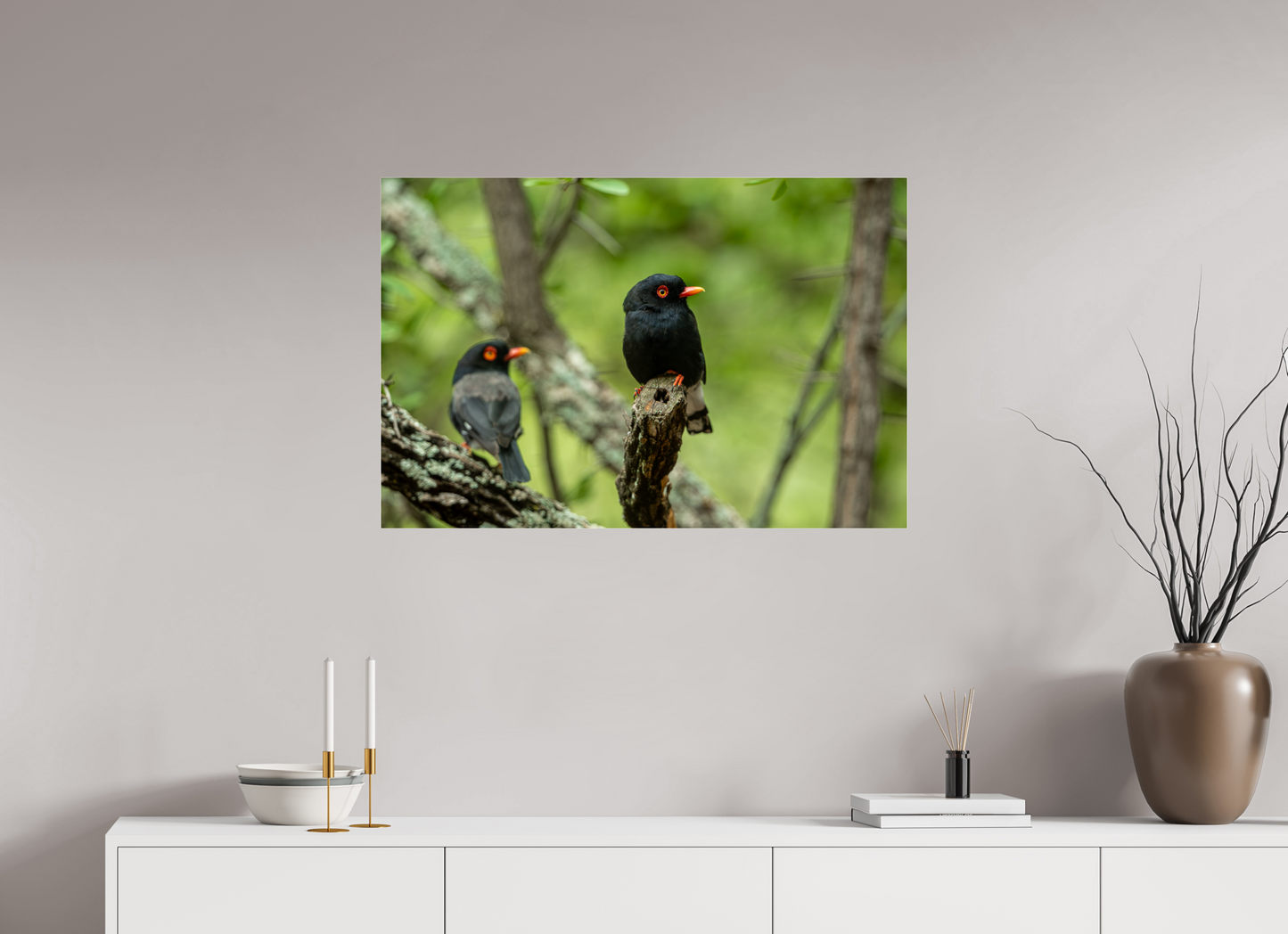Feathered Companions (Fiammetta Venner)